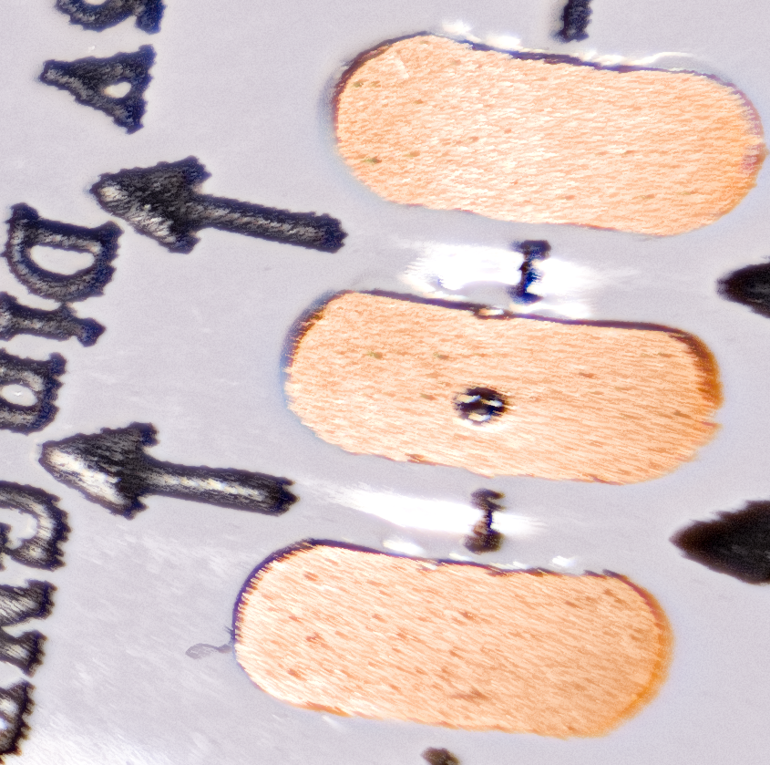 led-strip-dng-fragment.png
