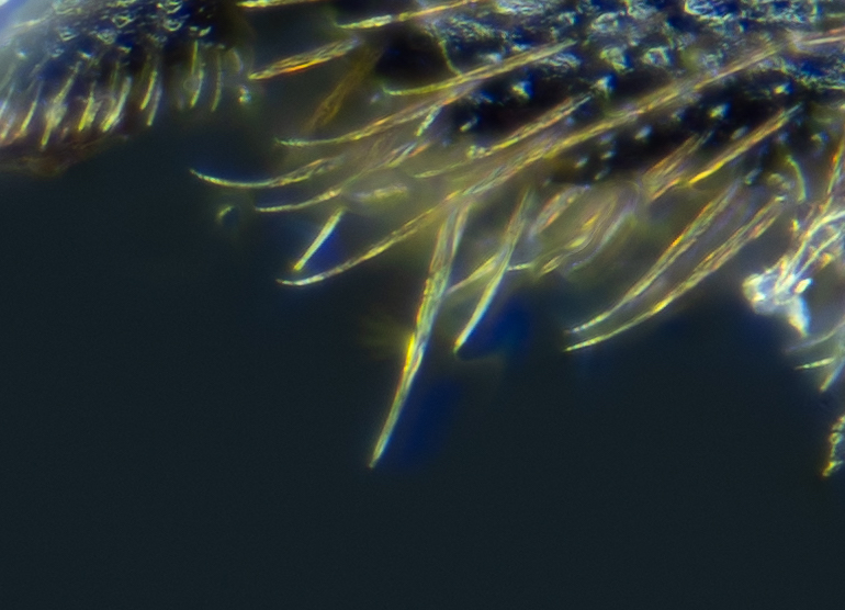 A7V03479-B,Radius4,Smoothing4 copy.jpg
