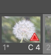 Screen Shot 2022-07-27 at 1.40.31 PM.png