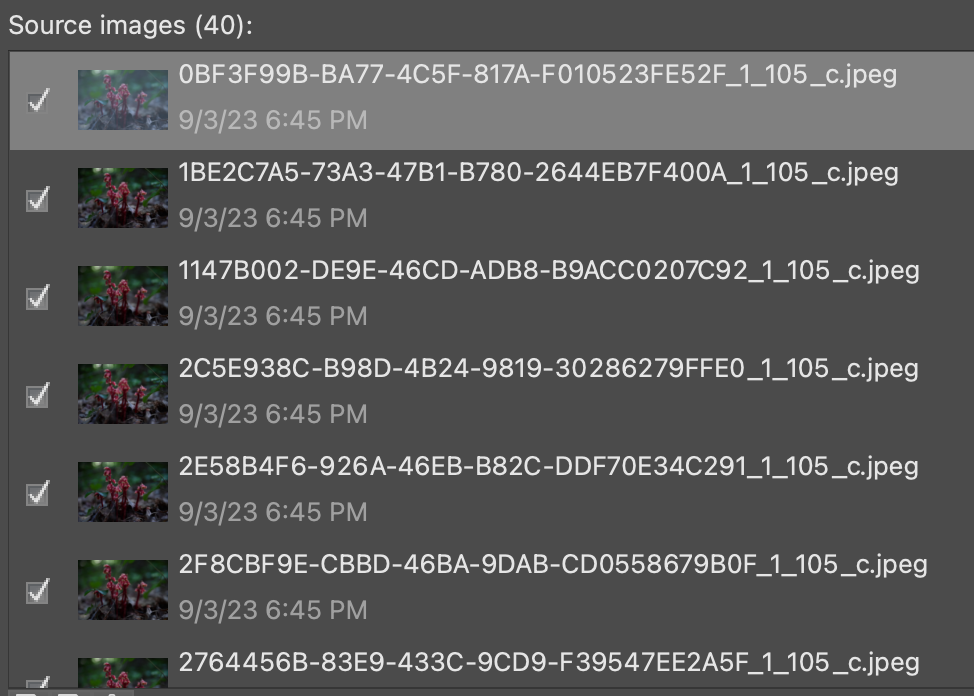 Screenshot 2023-09-04 at 8.00.07 AM.png