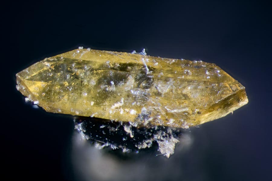 11 stacked images in Helicon Focus