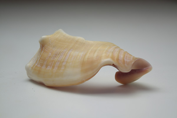 sample29.jpg