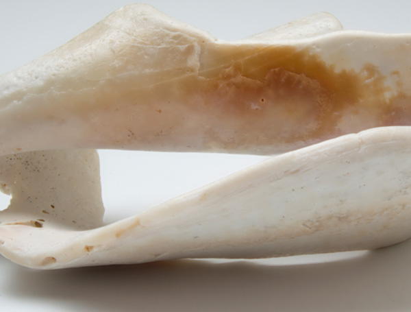 sample3.jpg