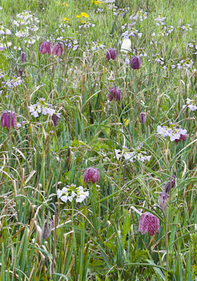 new 3 (1 of 1).jpg