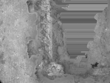 Texture Mapping