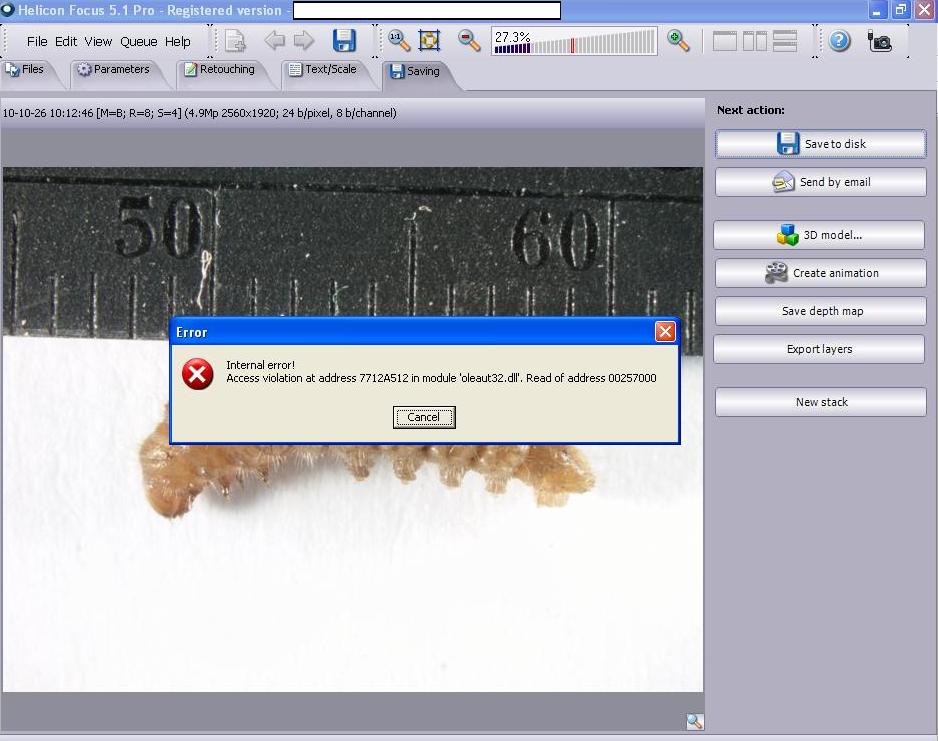 Screen shot