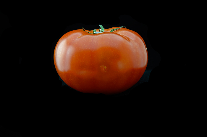 16Apr12-Tomato-(B,-8,-4).jpg
