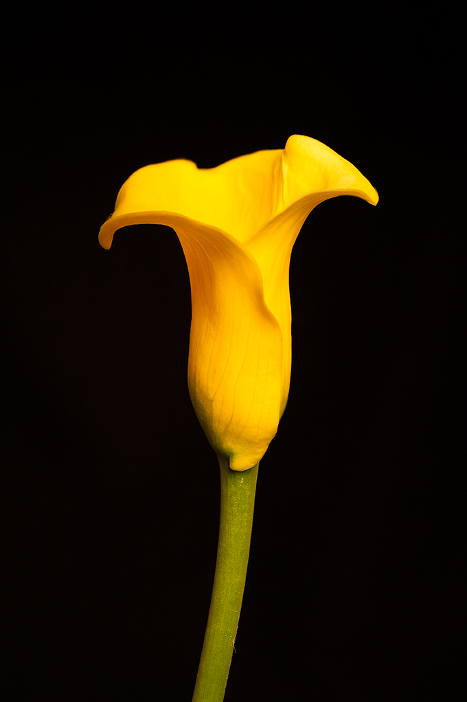 Focus-Result-(B,-18,-9).jpg