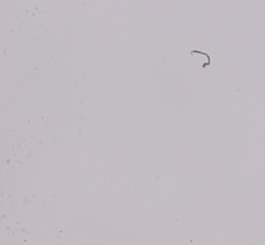 dustmap_bottom_left_corner.jpg